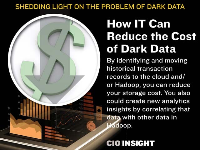 How IT Can Reduce the Cost of Dark Data