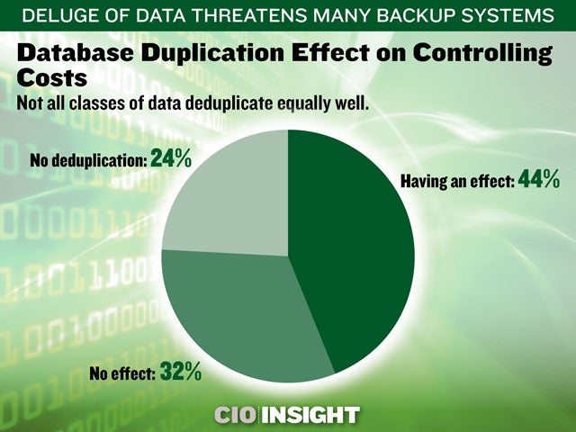 Database Duplication Effect on Controlling Costs