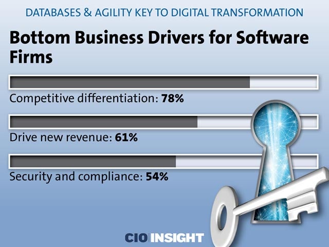 Bottom Business Drivers for Software Firms