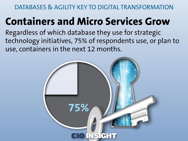 Containers and Micro Services Grow