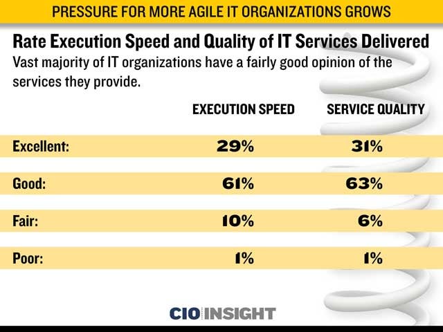 Rate Execution Speed and Quality of IT Services Delivered