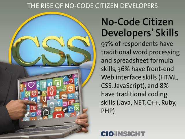 No-Code Citizen Developers' Skills