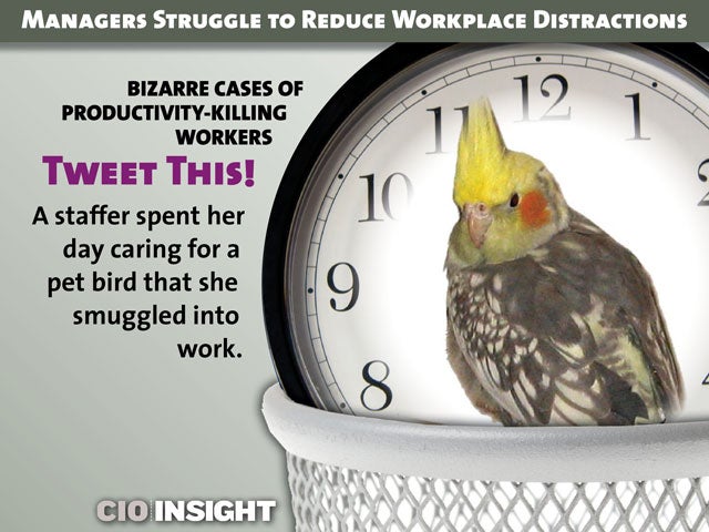 Bizarre Cases of Productivity-Killing Workers: Tweet This!