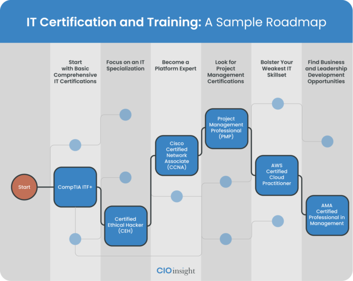 CIO Insight IT Certification Roadmap
